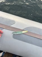 IMG_1710.jpeg