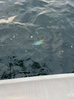 IMG_1707.jpeg