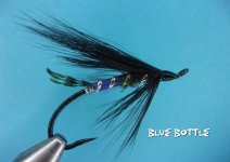 Blue Bottle.jpg