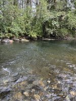 IMG_2112.jpeg
