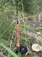 IMG_2182.jpeg