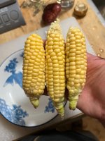 IMG_4185.jpeg