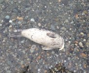 IMG_9225.jpeg