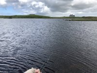 IMG_3913.jpeg