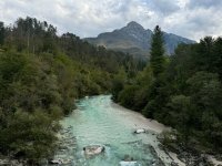IMG_4452.jpeg IMG_4452.jpeg