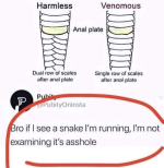 1727144088489.png