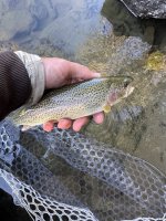 IMG_1054.jpeg
