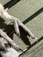 IMG_9361.jpeg