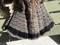 IMG_9363.jpeg