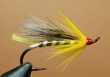 Cosseboom Special 1080.JPG