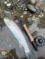 IMG_9813.jpeg