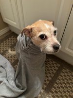 IMG_0659.jpeg