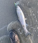 IMG_6471.jpeg