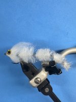 IMG_3140.jpeg