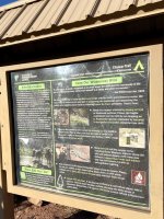 IMG_5355.jpeg