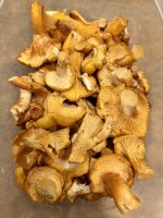 IMG_2939.jpeg