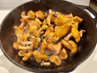 IMG_2940.jpeg