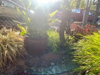 IMG_6330.jpeg