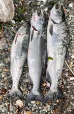 IMG_5882.jpeg
