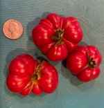 IMG_6346.jpeg IMG_6346.jpeg