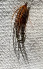 IMG_1152.jpeg