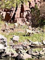 IMG_5412.jpeg