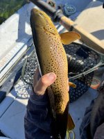 IMG_5417.jpeg
