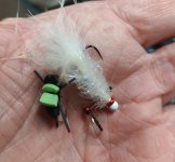 IMG_20241003_180331659.jpg