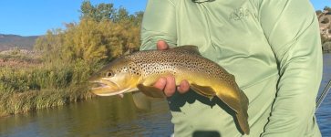 IMG_3773.jpeg IMG_3773.jpeg