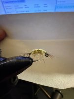 IMG_1490.jpeg