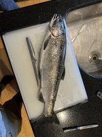 IMG_0396.jpeg IMG_0396.jpeg