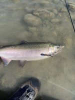 IMG_9836.jpeg