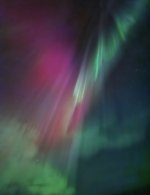 IMG_6144.jpeg