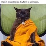 IMG_6350.jpeg