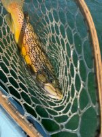 IMG_1492.jpeg