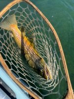 IMG_1495.jpeg