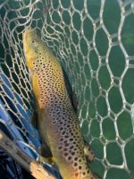 IMG_1499.jpeg