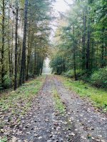 IMG_2594.jpeg