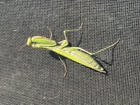 IMG_3833.jpeg