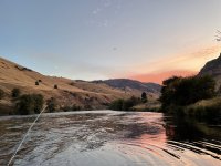 IMG_3836.jpeg