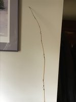 IMG_3998.jpeg