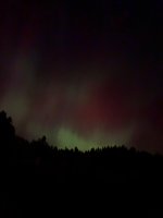 IMG_7936.jpeg