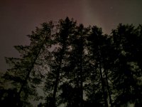 IMG_2906.jpeg