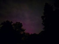 20241010_194645.jpg