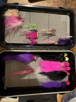IMG_0461.jpeg