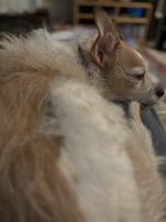 IMG_1055.jpeg