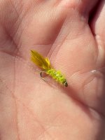 IMG_0848.jpeg