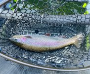 IMG_0842.jpeg