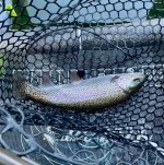 IMG_0844.jpeg