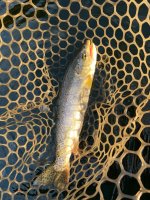 IMG_8921.jpeg
